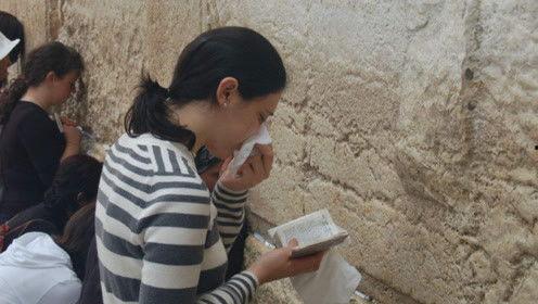 室友总是吃娱乐圈的瓜,娱乐圈瓜田里的室友日常