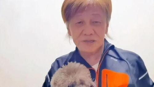 吃瓜心声娱乐圈一口气看完,一网打尽，尽享八卦盛宴